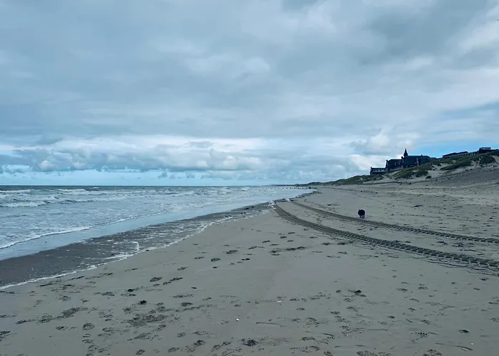 Hébergement de vacances Bulles Du Paradis